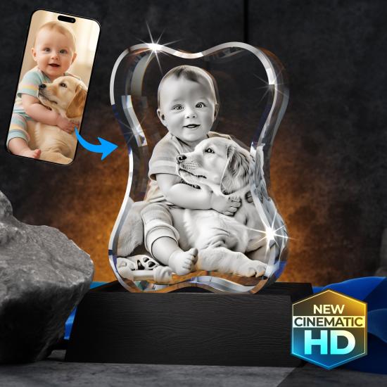 Nos animaux de compagnie bien-aimés